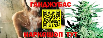сатива Абинск